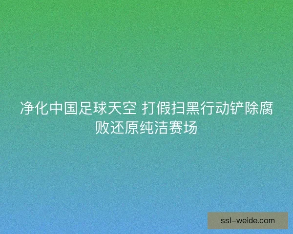 净化中国足球天空 打假扫黑行动铲除腐败还原纯洁赛场 净化中国足球天空 打假扫黑行动铲除腐败还原纯洁赛场